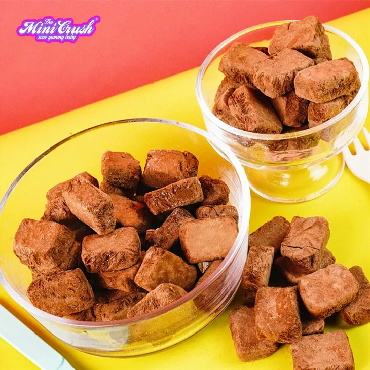 Freeze-dried Chocolate Ice Cream suppliers